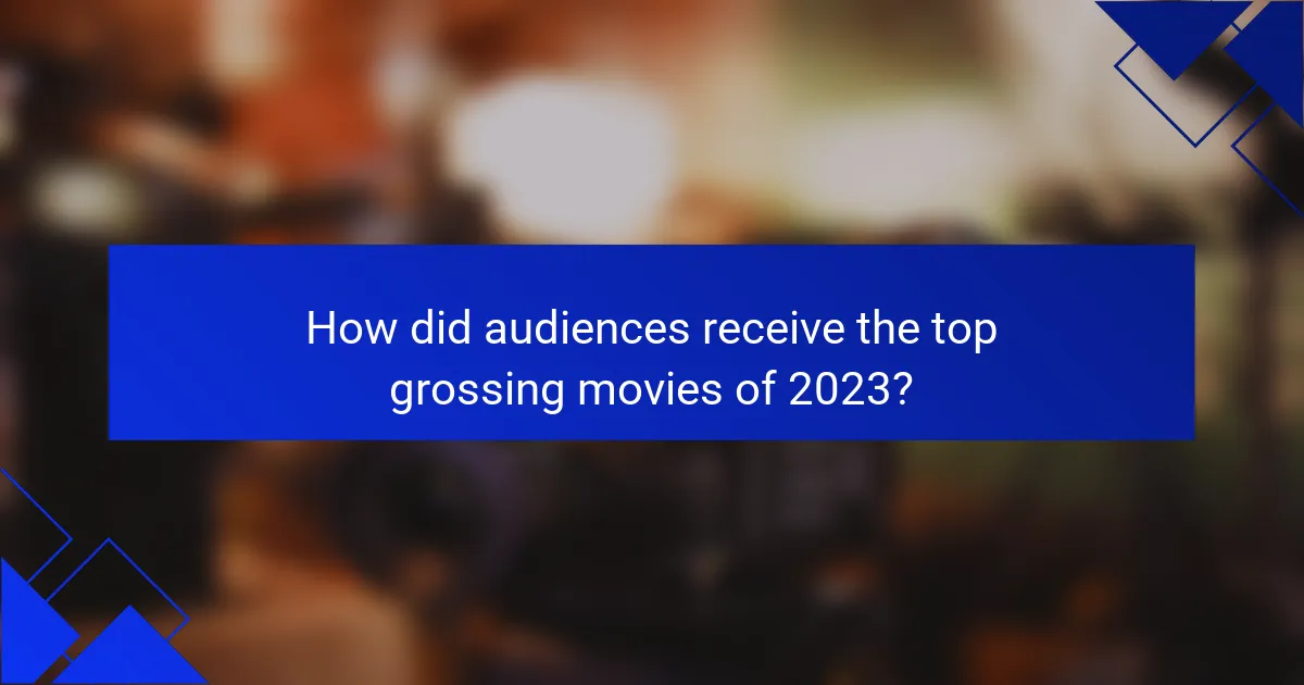 How did audiences receive the top grossing movies of 2023?