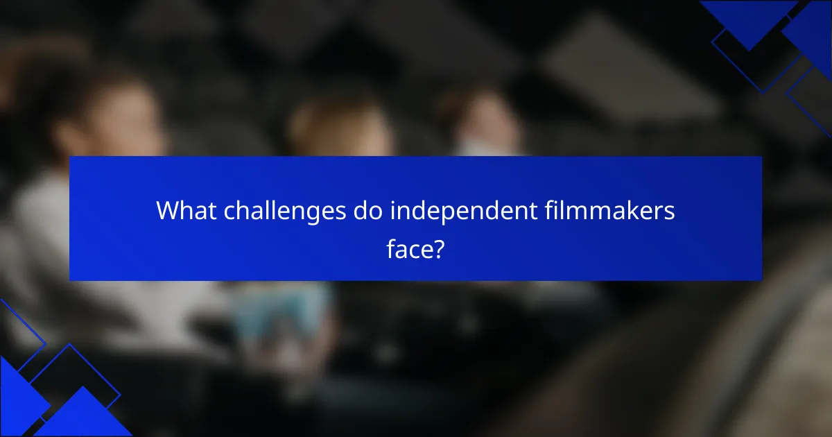 What challenges do independent filmmakers face?